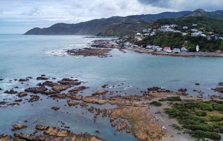 354 The Esplanade Island Bay_7