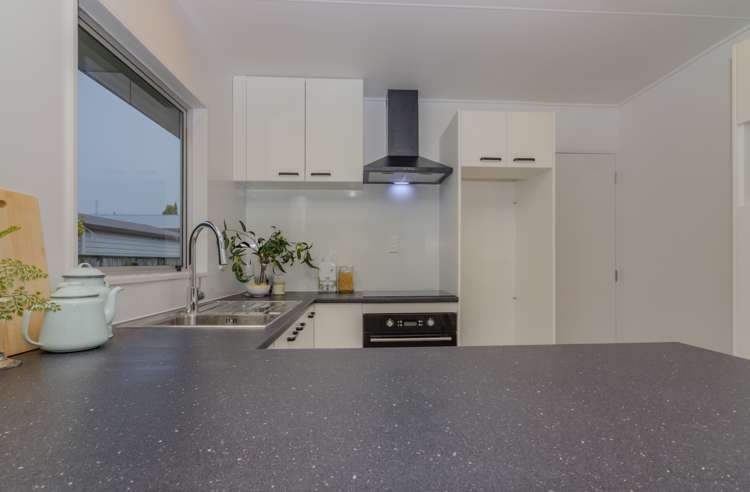 9a Guy Avenue Levin_9