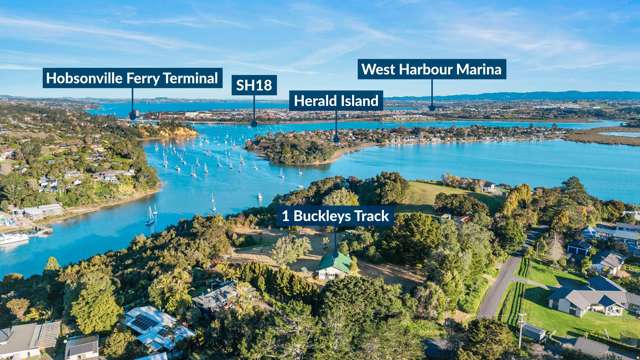 1 Buckleys Track Paremoremo_3