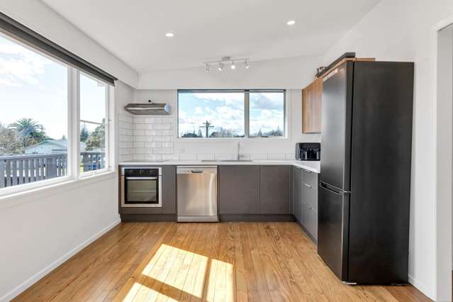 55a Seymour Street Waitara_1