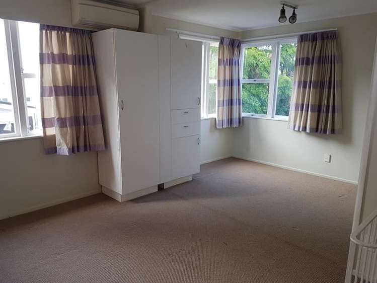 157 Campbell Road One Tree Hill_8