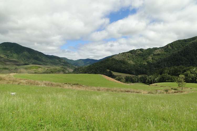 845 Shenandoah Highway Murchison_11