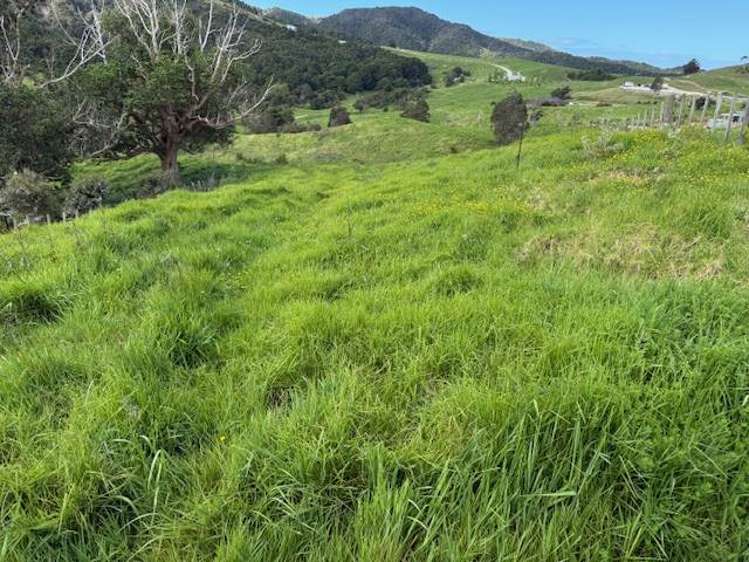 Lot 3/101 Brooklands Way Kaiwaka_4