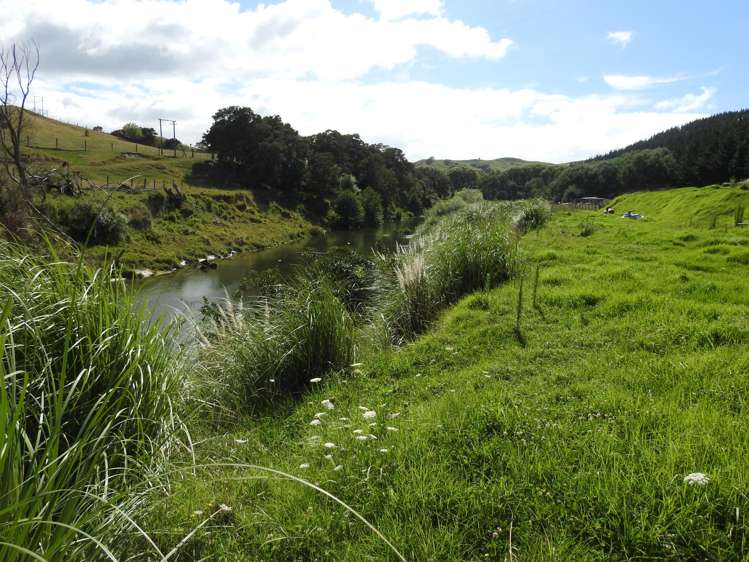 232 Darwin Road Outer Kaiti_8