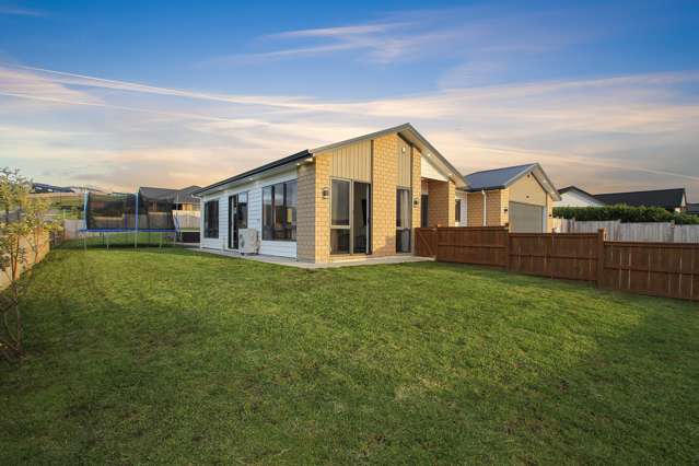 16 Catherine Mclean Road Pukekohe_2