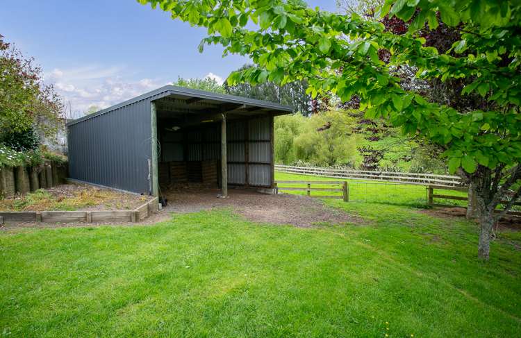 43 Pukerimu Lane Cambridge_17