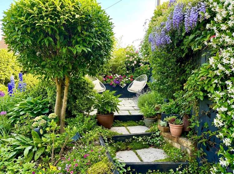 24 Surf Road Stanmore Bay_9