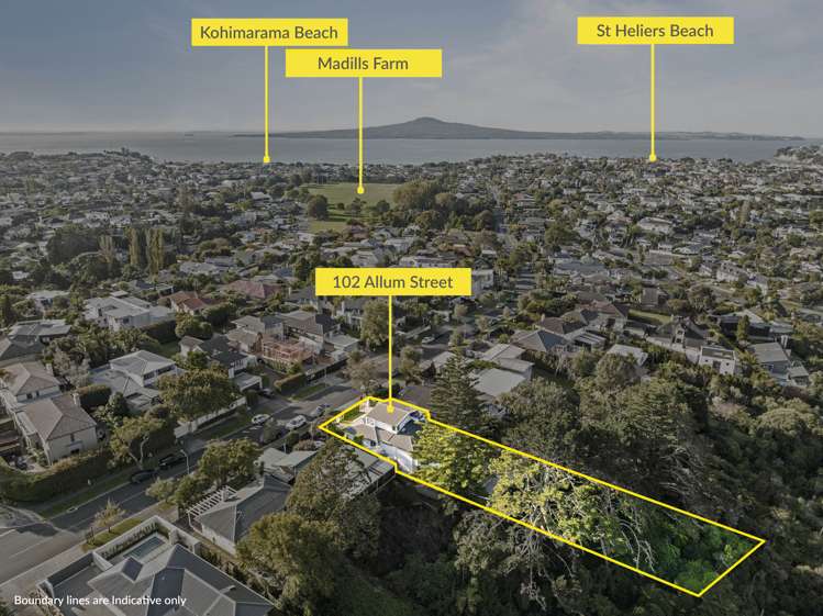 102 Allum Street Kohimarama_27