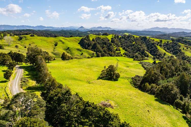 Baker Road Maungatapere_8