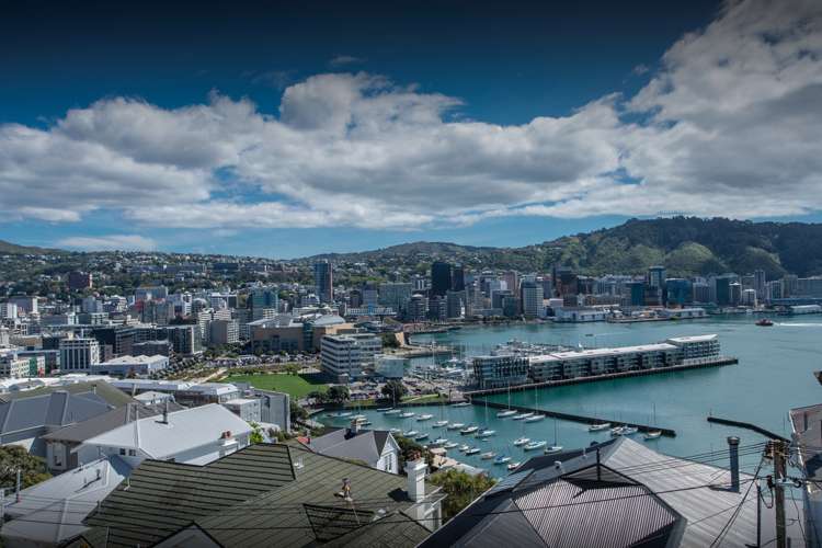 72 Hawker Street Mount Victoria_12