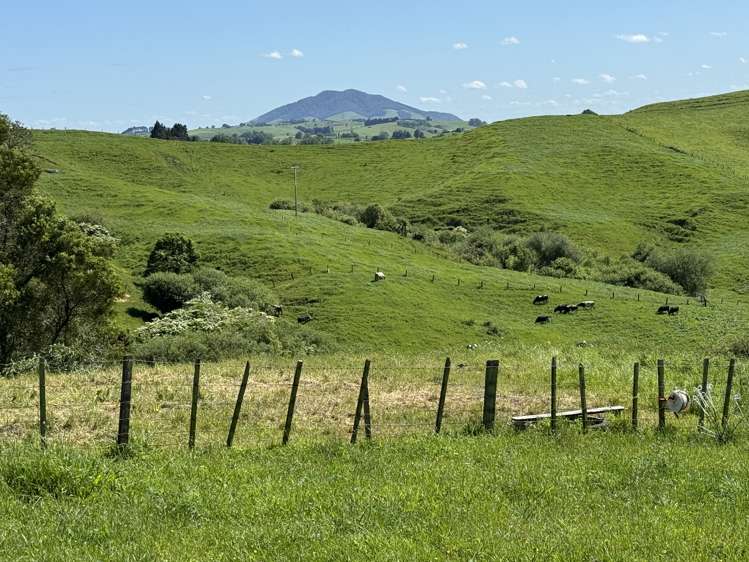 91 Mountain View Road Otorohanga_1