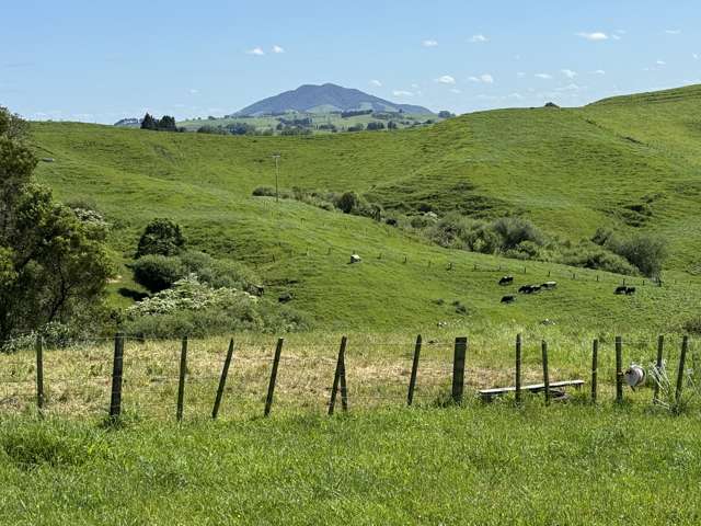 95 Mountain View Road Otorohanga_1