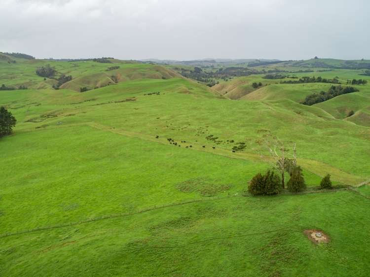 401 Waikaretu Valley Road Glen Murray_12