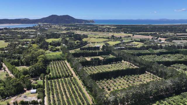 43 Burnage Road Pukenui_1