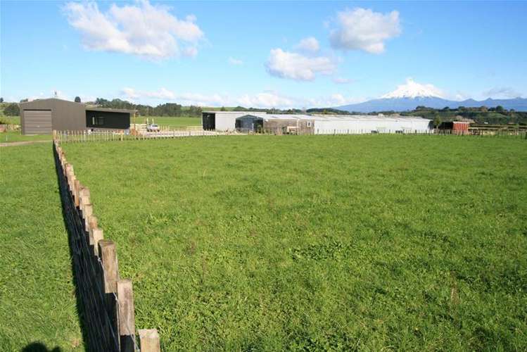 318c Manutahi Road Lepperton_9