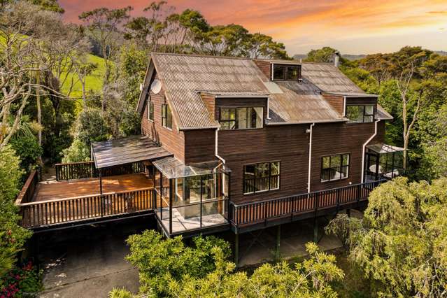 Sunlit Sanctuary in the Treetops