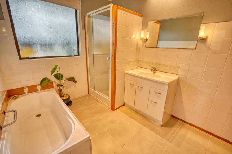 183 Nelson Creek Road Ngahere_16