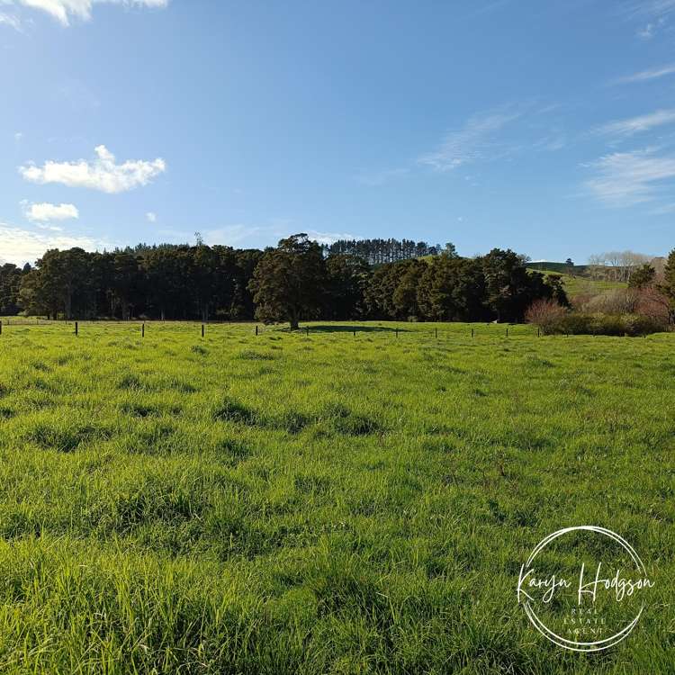 Lot 3/504 Wairere Road Mareretu_24