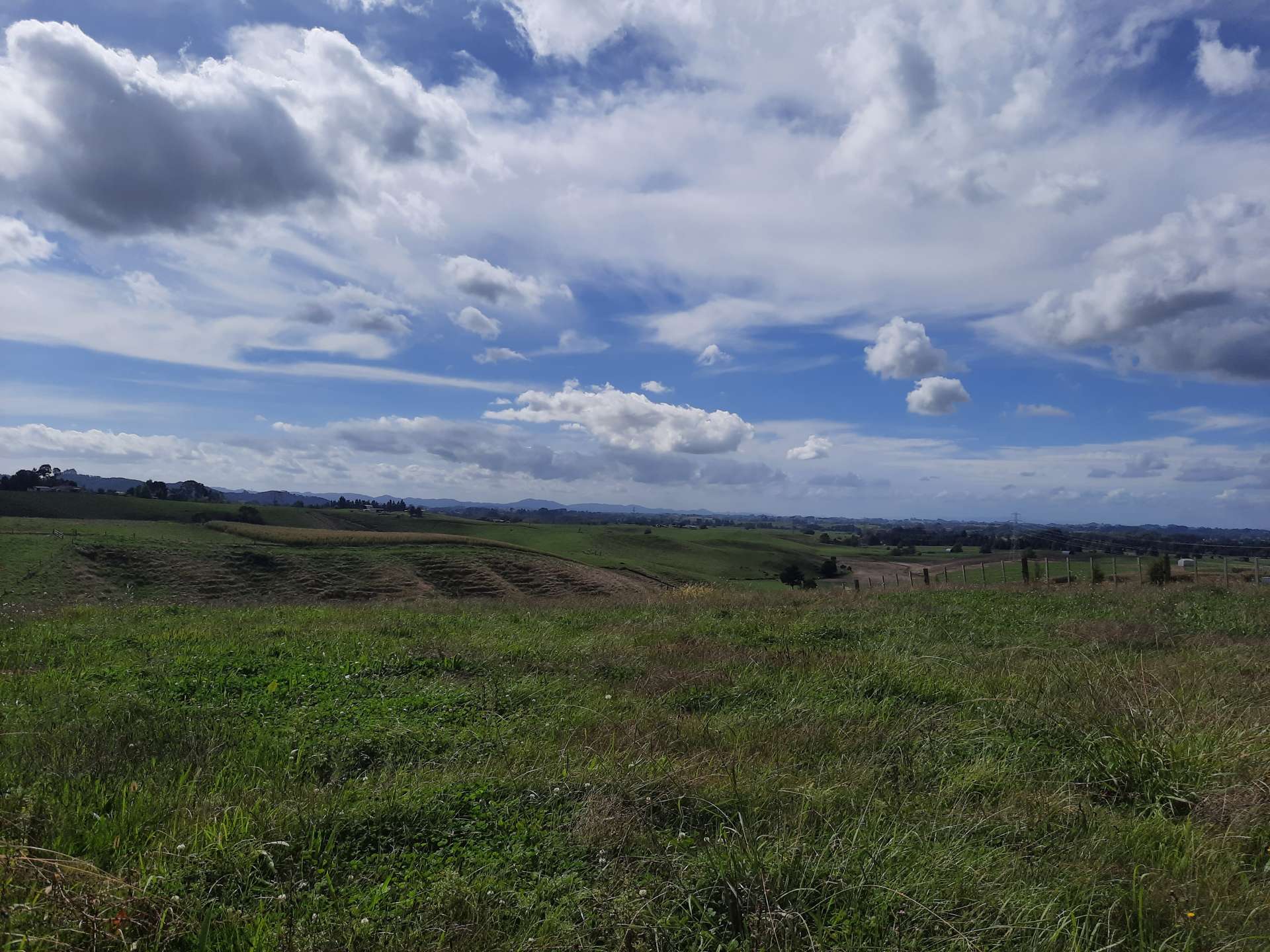 35 Grove Access Road Karamu_0