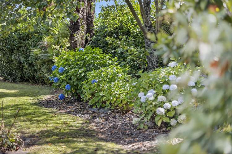 80 South Belt Masterton_34