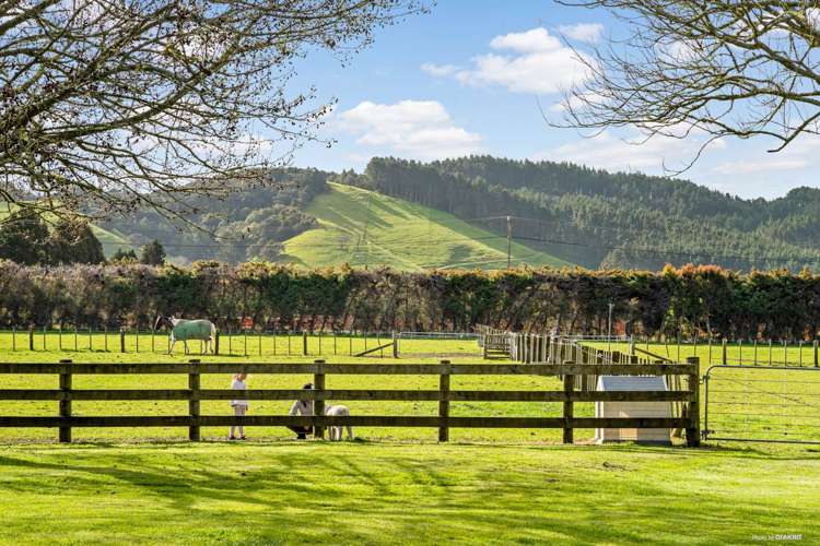 170 Parish Line Road Clevedon_13