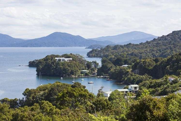 ‘Leap of faith’: Parents of Olympic medalist quit Australia for life on remote Stewart Island