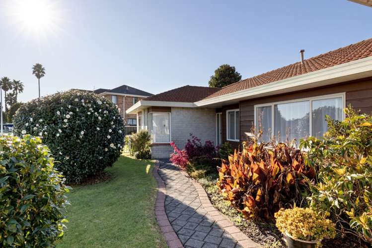 55 Plateau Heights Mount Maunganui_29