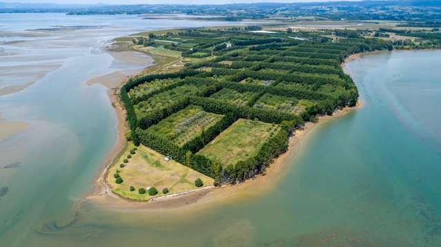 64-ha Matahui Rd orchard development