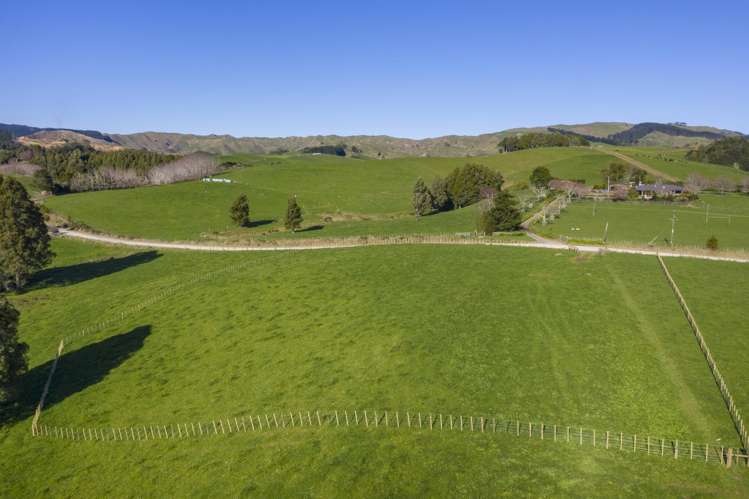 9A Pond Road Raglan_28