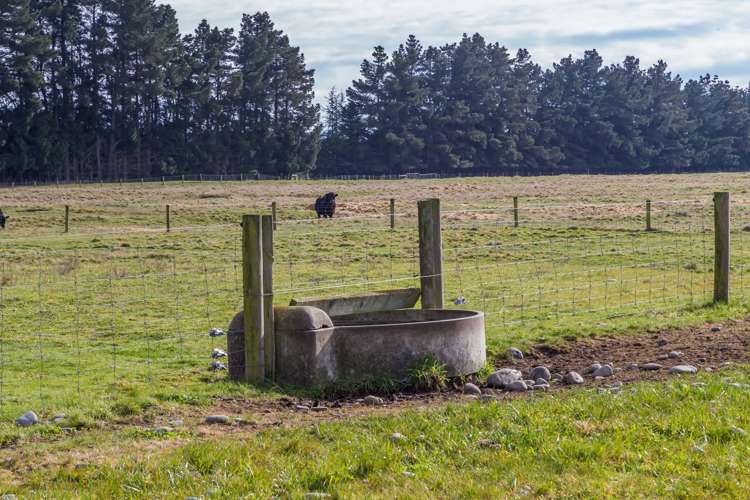 262 Chattertons Road McLeans Island_19