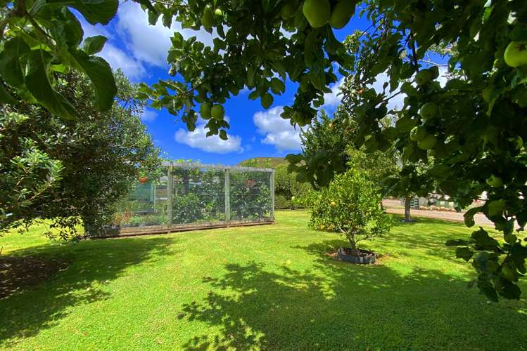 2580 Pourerere Road Central Hawkes Bay Coastal_23