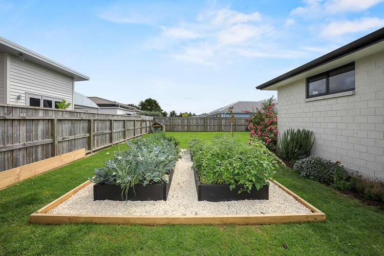 31 Costello Drive Ngatea_5