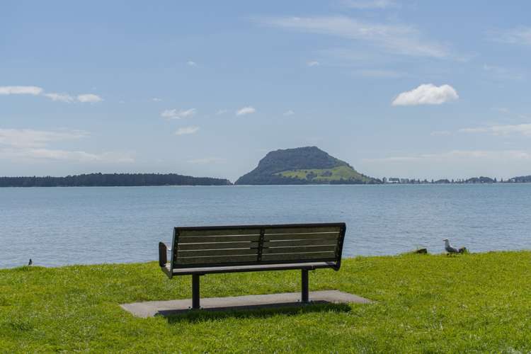 2 Chevron Drive Bellevue_16