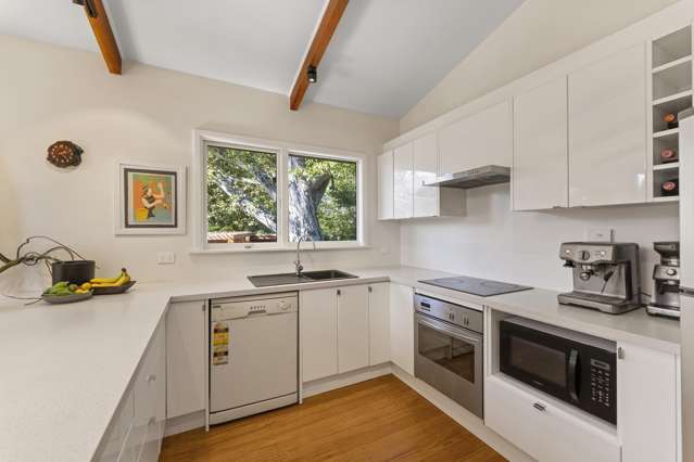 7 Domain Terrace Spreydon_1