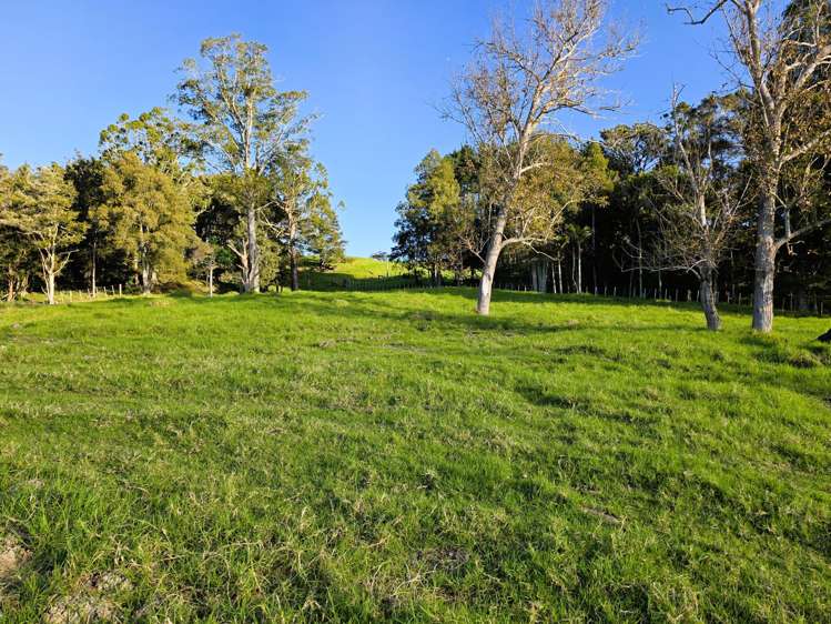 195 Sills Road Dargaville_19