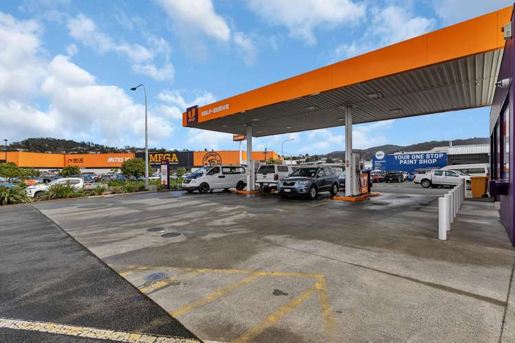 47 Porowini Avenue Morningside_9