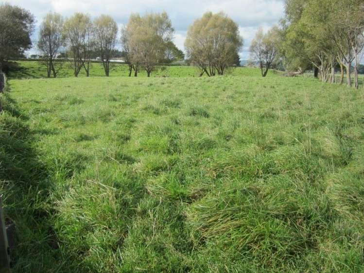 86 Pukemiku Road Pahiatua_12