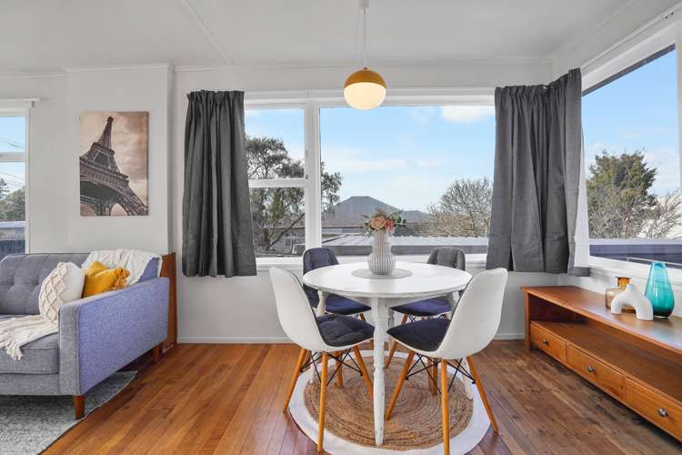 169 Ellicott Road Nawton_5