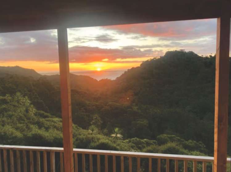 132 Lone Kauri Road Karekare_10