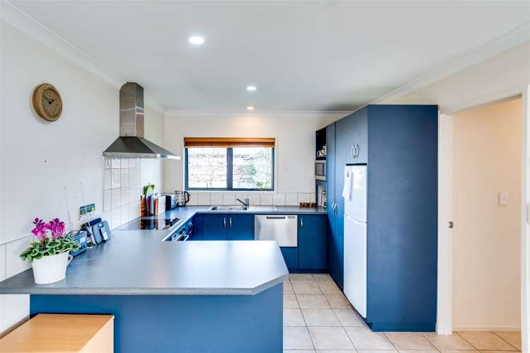 141b Napier Road Havelock North_5