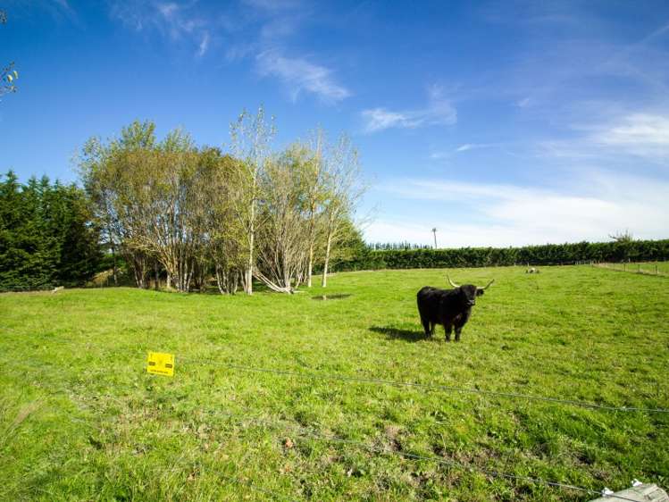 13 Station Road Loburn_17