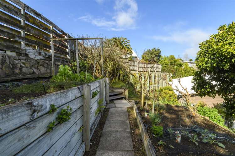 5k Winiata Street Brookfield_15