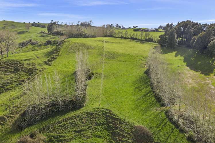 95 Mairoa Road Piopio_16