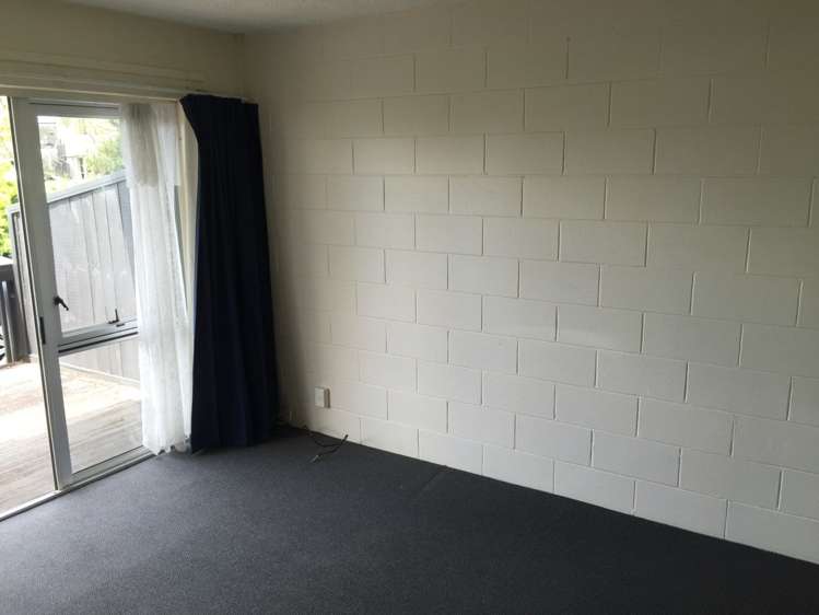 23a Western Springs Road Morningside_6