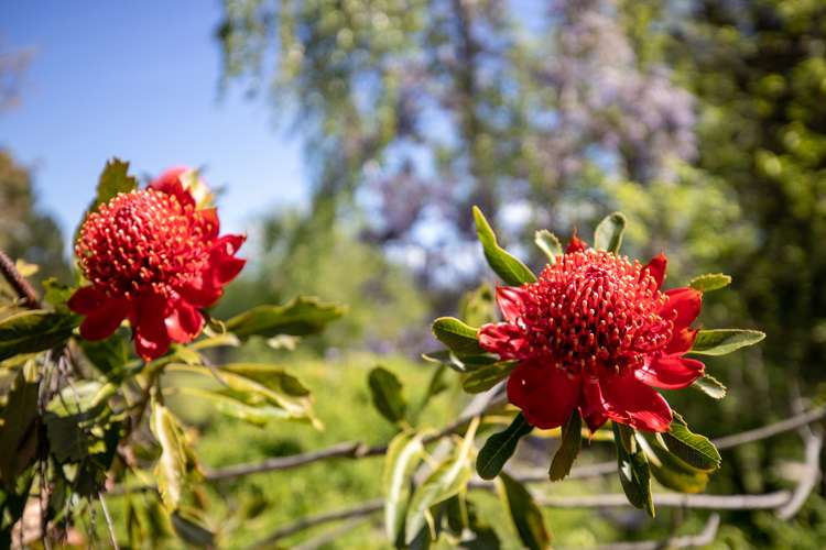 68 Central Road Lower Moutere_33