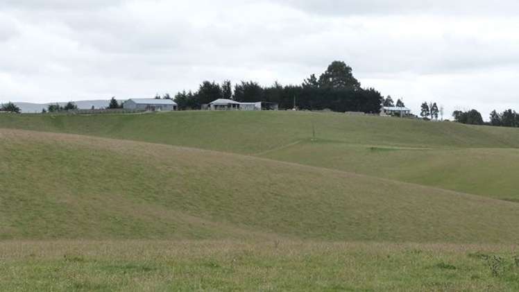 188 Homestead Road Clinton and Surrounds_17