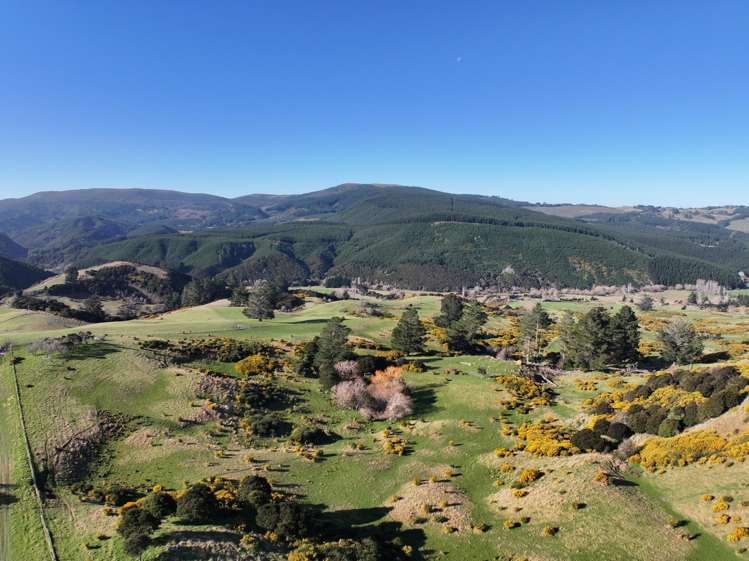 121 Silverstream Valley Road North Taieri_5