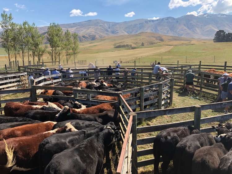 347 Butlers Road Fairlie_23