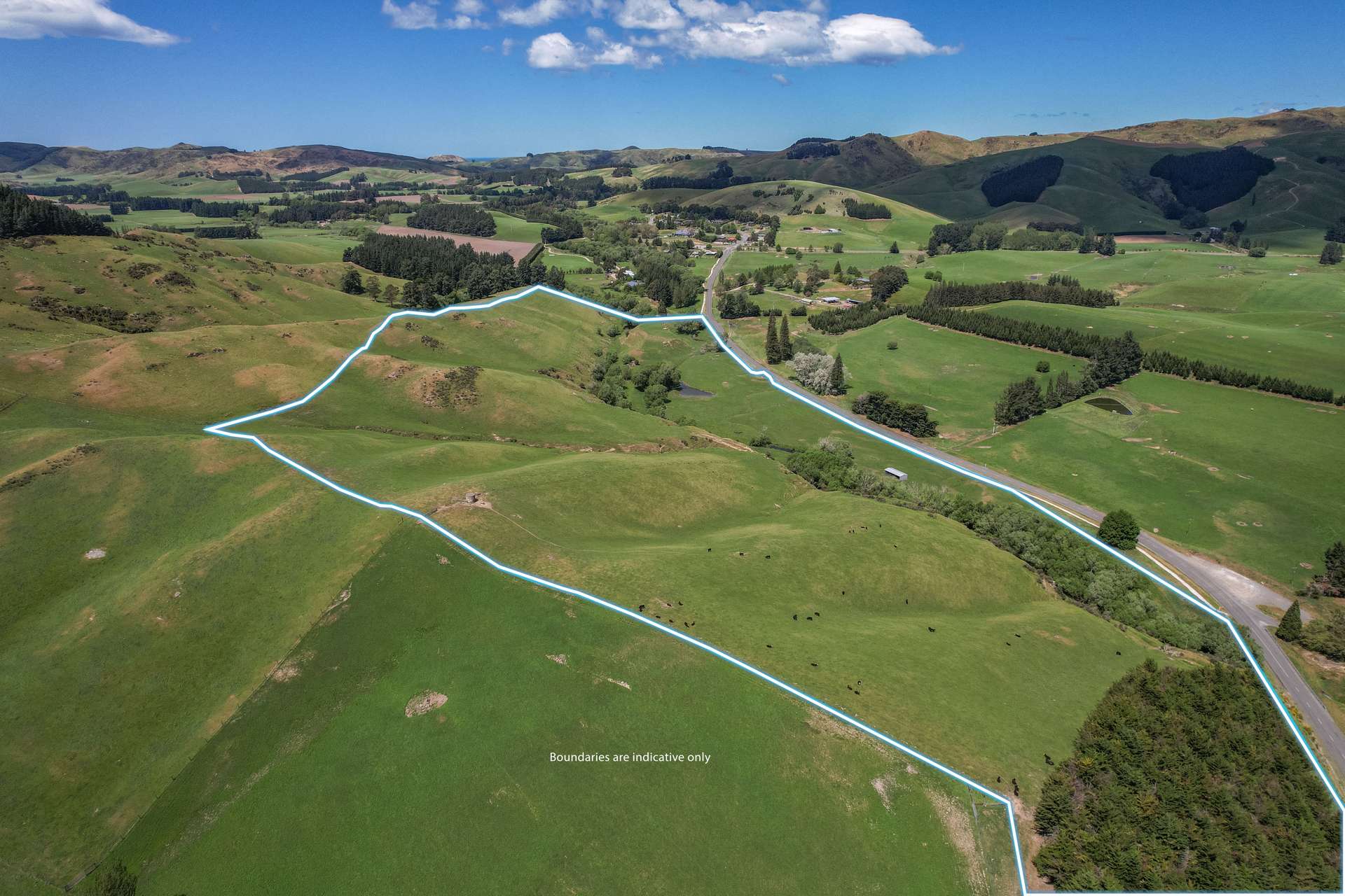 102 Scargill Valley Road Greta Valley_0