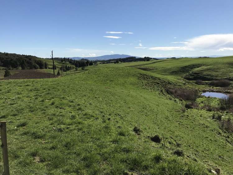 1232 Ngaroma Road Wharepuhunga_8